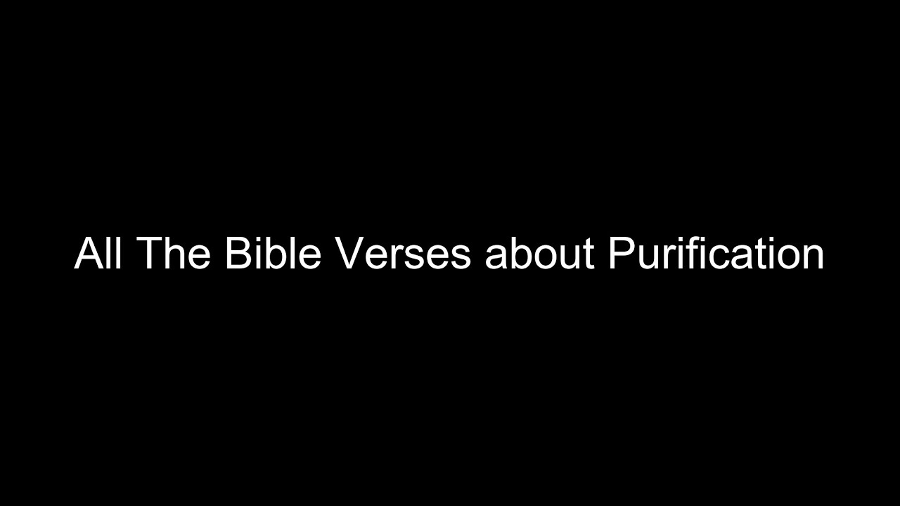 What does the Bible Say About Purification - All the Bible Verses About Purification