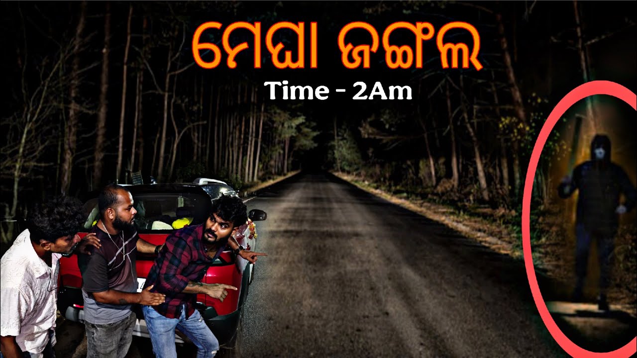 ମେଘା ଜଙ୍ଗଲ The Wrong Turn ❌️#857