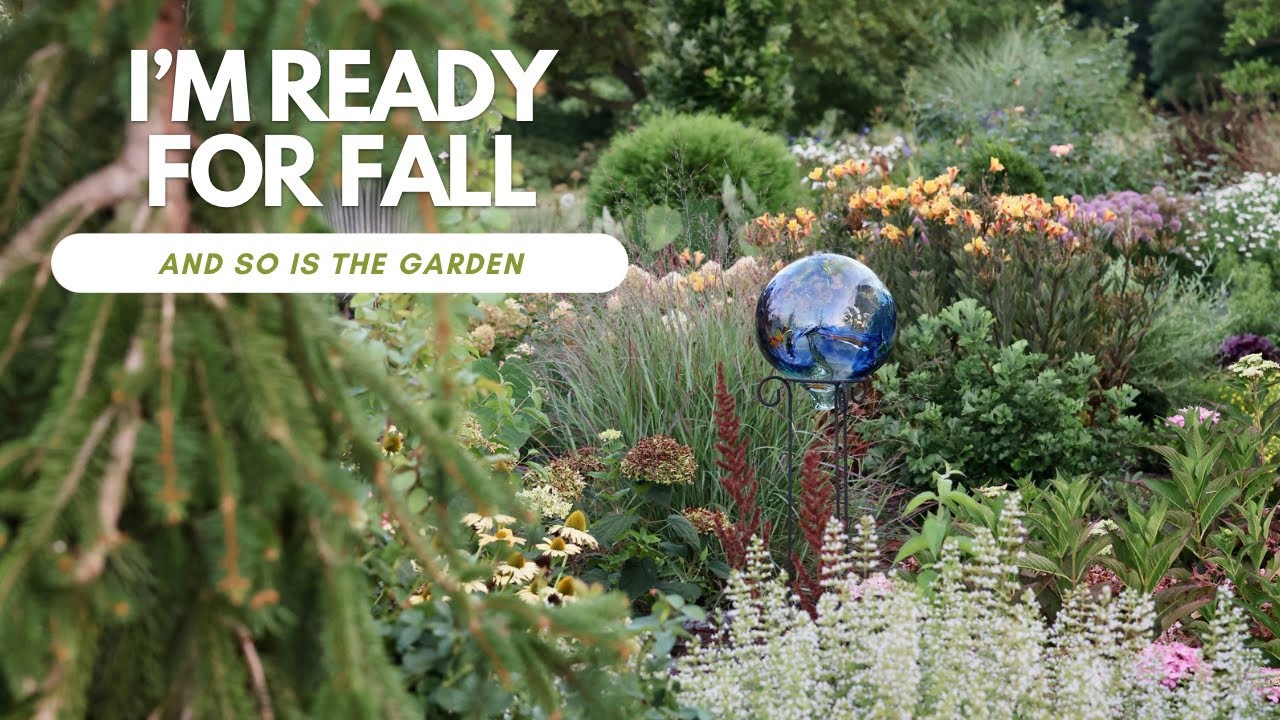 Truthfully, I'm a Fair Weather Gardener (The Garden Is Tired of the Heat) | The Southerner's Garden