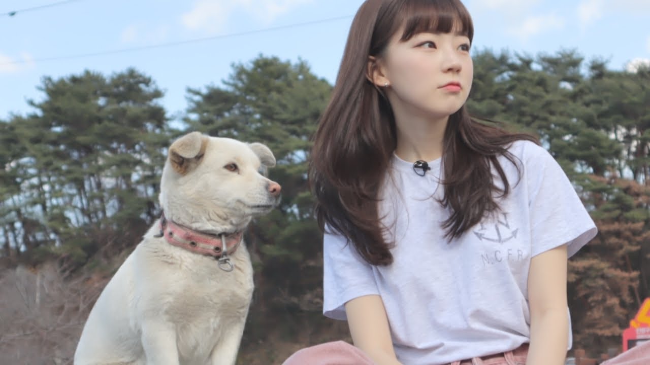 강아지같은 여자친구 없어요? -광양-