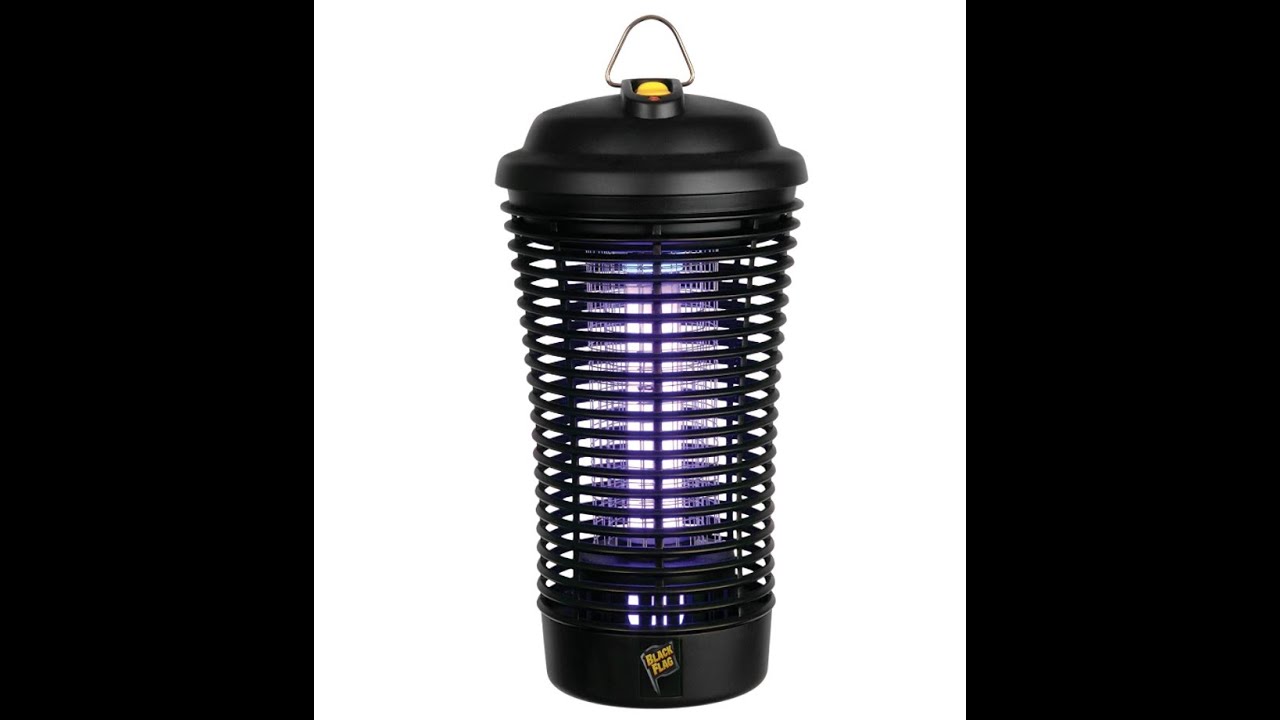 How to Clean Your Bug Zapper the Easy Way - Mosquitos