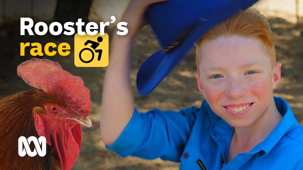 Wheelchair racer and chook breeder Waryk 'Rooster' Holmes 🐓♿ | Australia to Me | ABC Australia