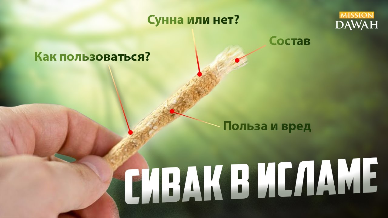 Сивак в Исламе - В чем польза и преимущество мисвака (сивака)?