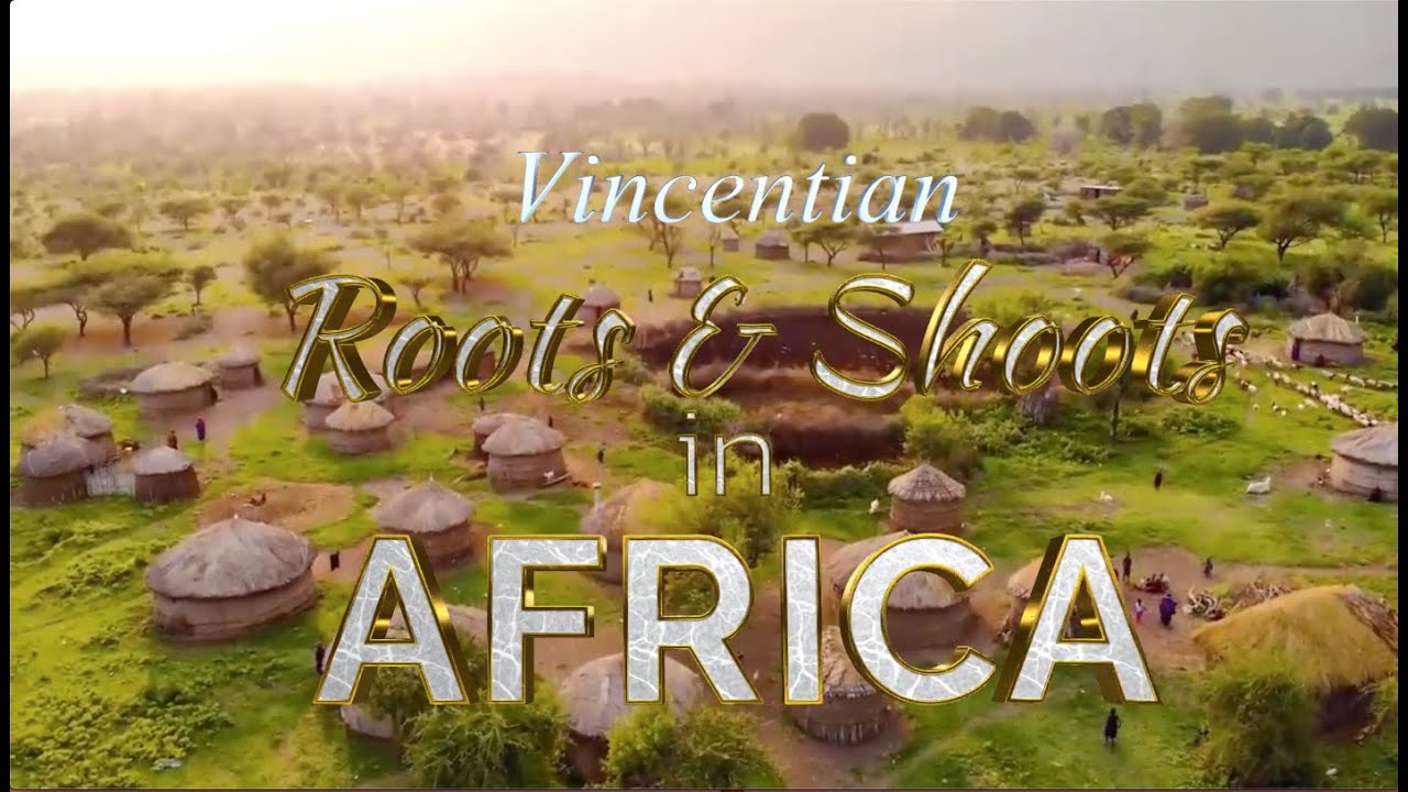 African Mission: Sacred Heart Region, Vincentian Congregation