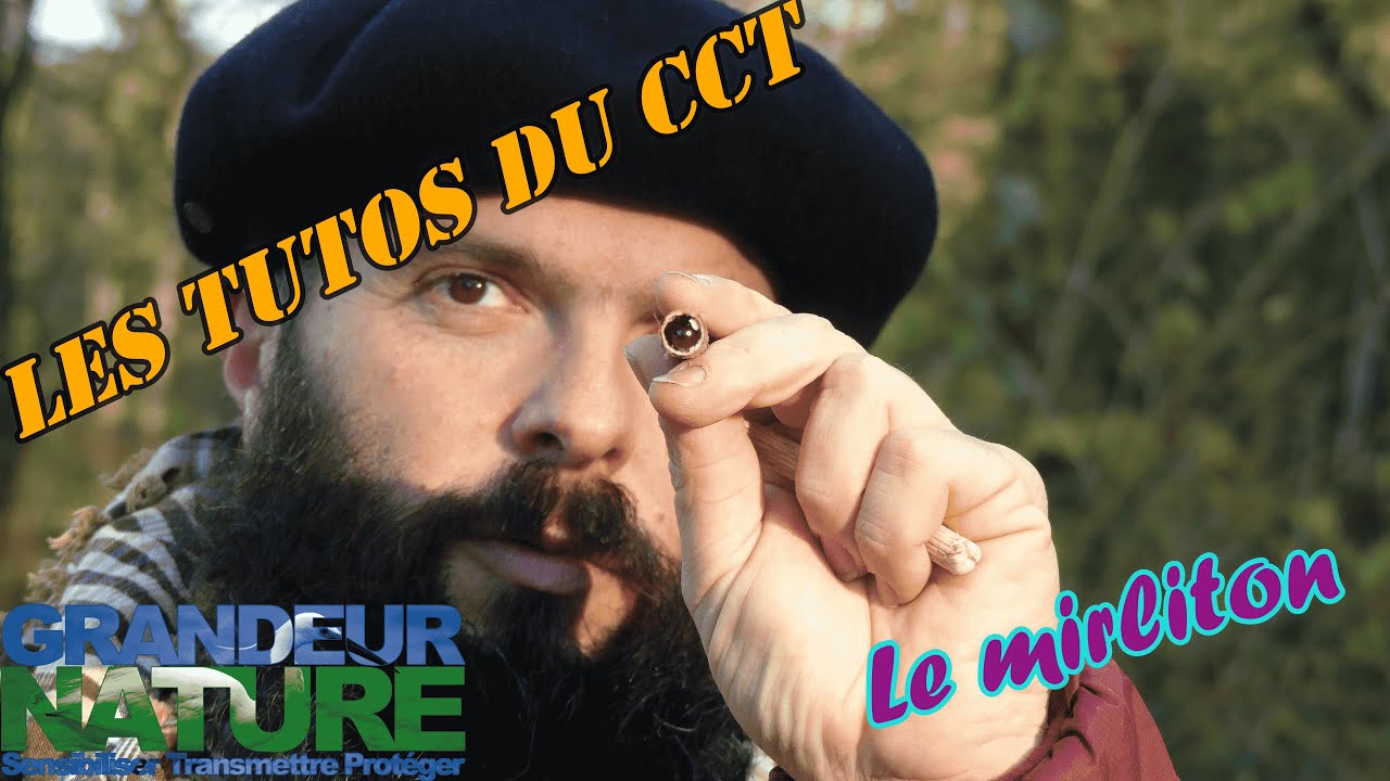 Les tutos du CCT - Le mirliton