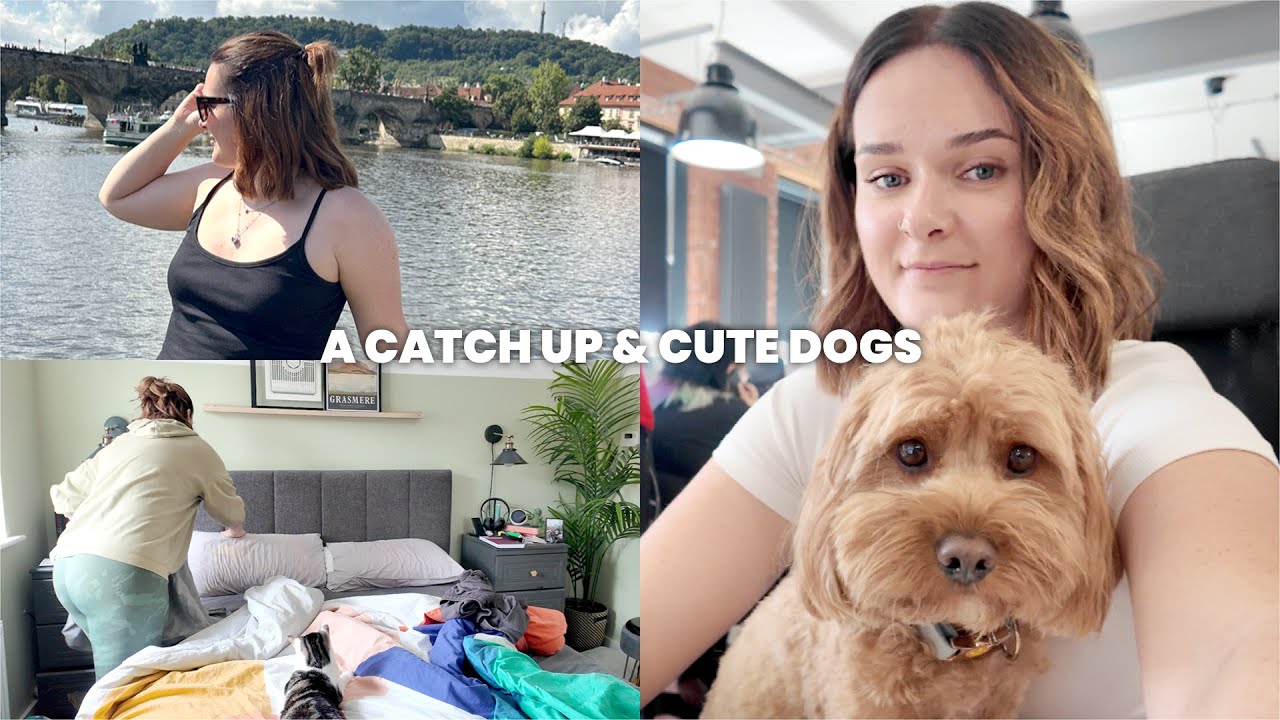 going back to basics (& cute office dogs) | WEEKLY VLOG