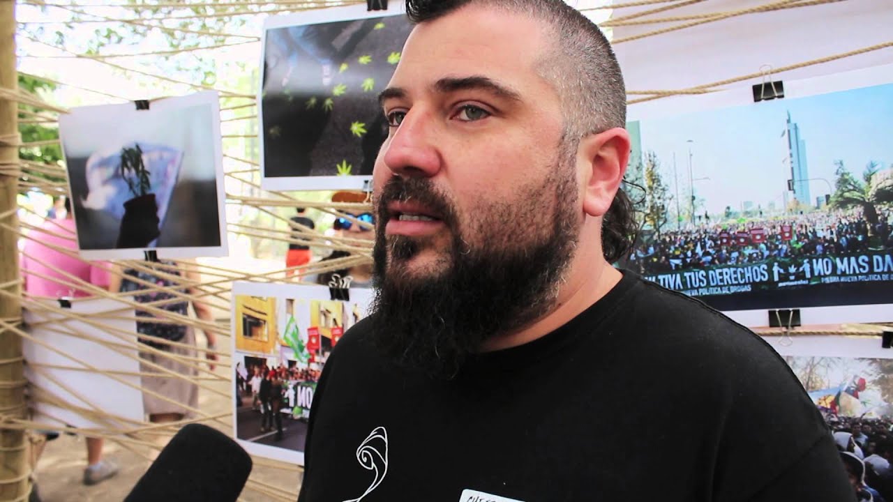 Cogollando - Entrevista Movimental Cultiva tus derechos 2014