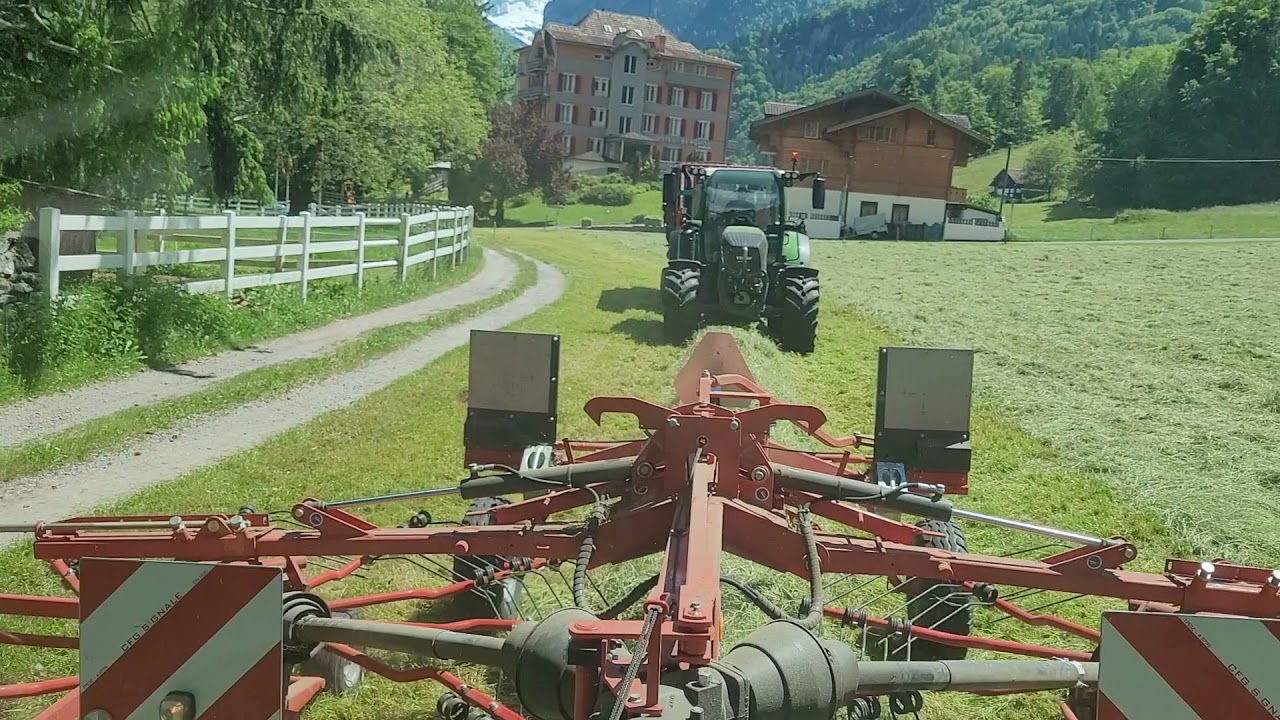 Heuen in Wilderswil