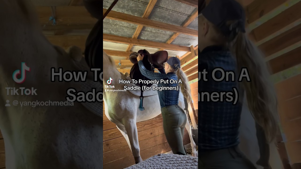 Как правильно надевать седло (для начинающих)🐴🤔 #конныйспорт #верховая езда #любитель лошадей #де...