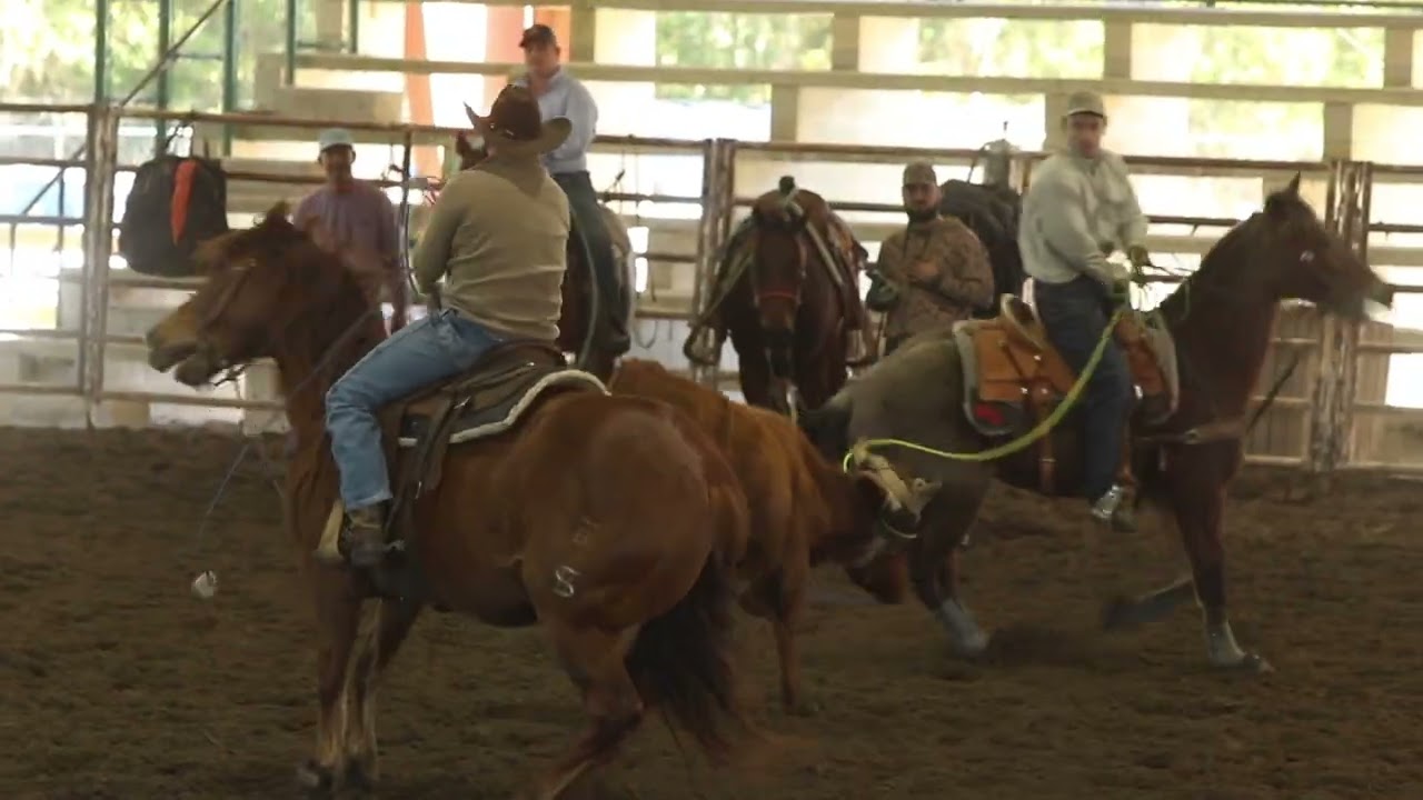 Blair Bullock Memorial Team Roping event scrc