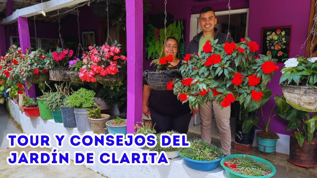 Clarita la jardinera que NO conoce las plagas en sus PLANTAS, ella contó su mejor remedio |AP