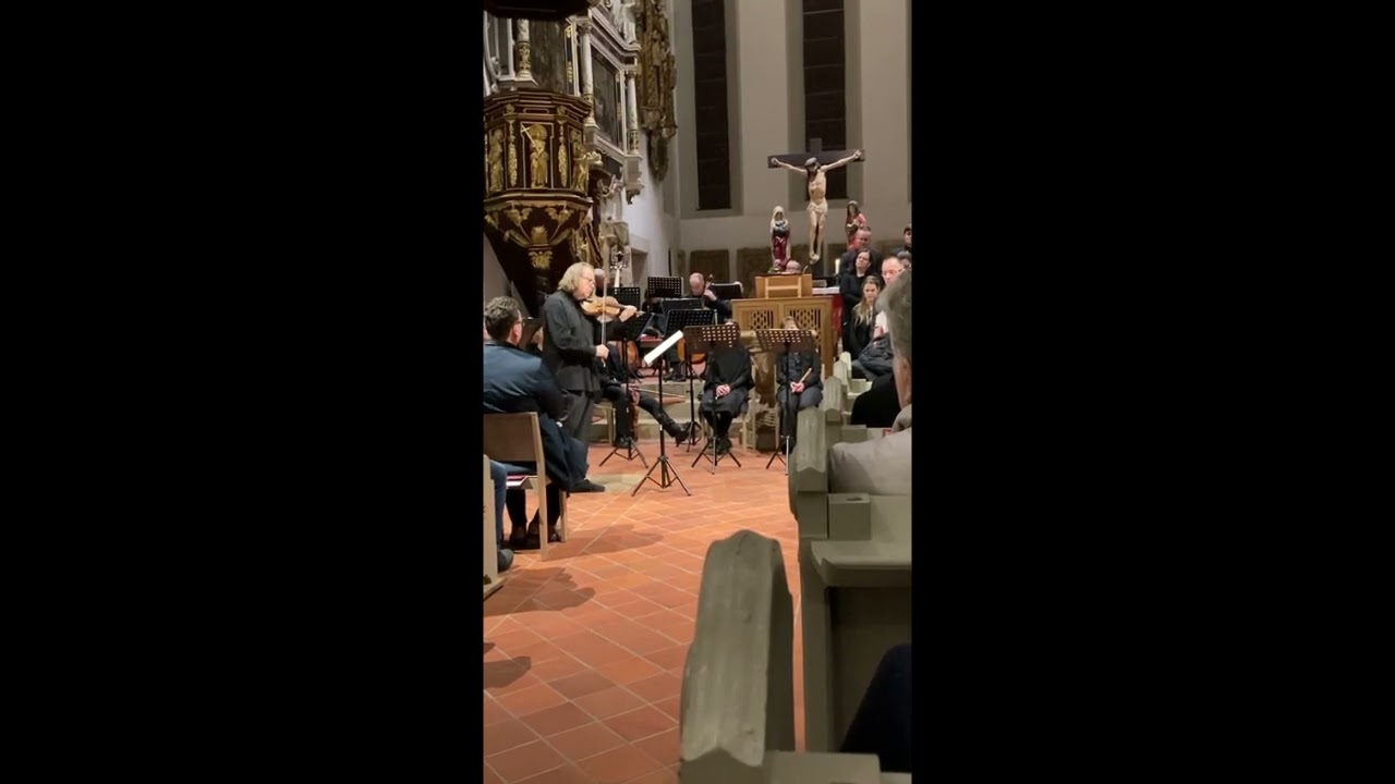 Johann Sebastian Bach: Agnus Dei (from: Mass in B minor, BWV 232) - David Erler (live/bootleg)