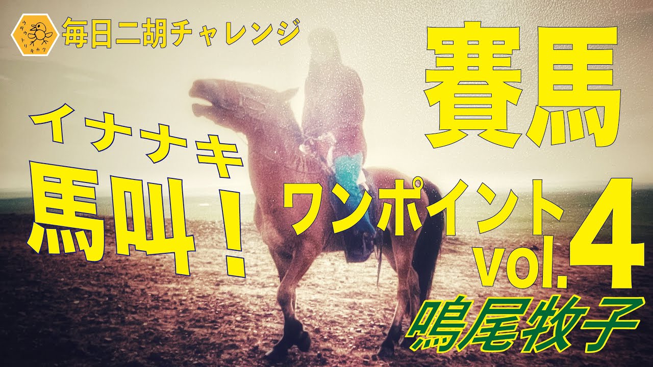 賽馬ワンポイント解説　vol.4