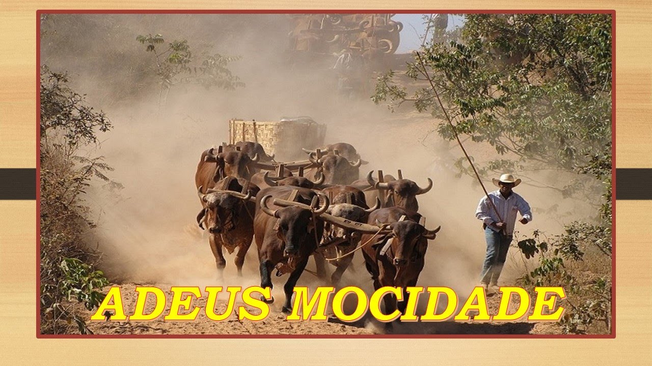 ADEUS MOCIDADE.****ELI SILVA E ZÉ GOIANO-Compositores-Erlom Valentim Vieira / Zé Goiano