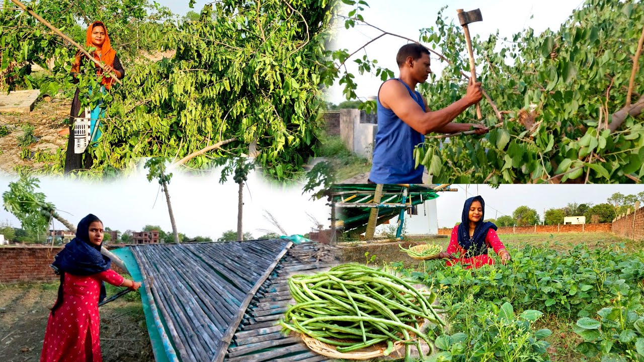 💨आंधी 🌪️तूफान के बाद बिखरा हुआ सब कैसे कैसे बड़ी 😳मेहनत से हमने सब ठीक किया,नई 🌱सब्जी ने मन मोह लिया🤷