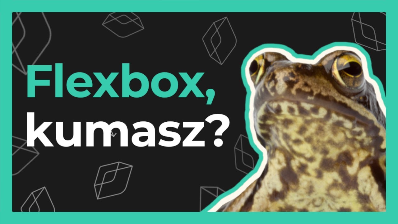 Flexbox - praktyczny tutorial CSS dla początkujących!