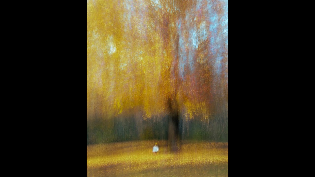 Intentional Camera Movement: Getting That Monet Effect