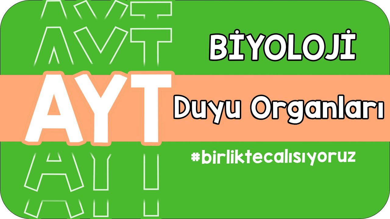 Duyu Organları | AYT'ye #birlikteçalışıyoruz
