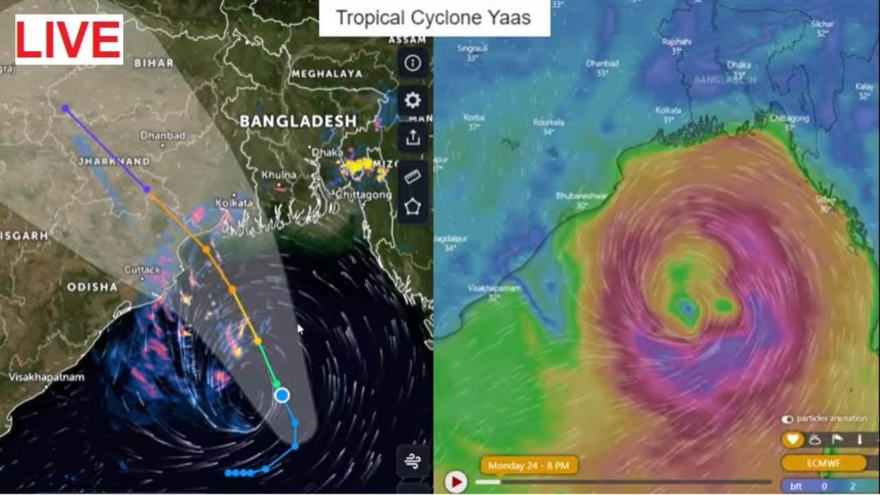 Cyclone Yaas Live Updates | Tropical Cyclone YAAS 2021