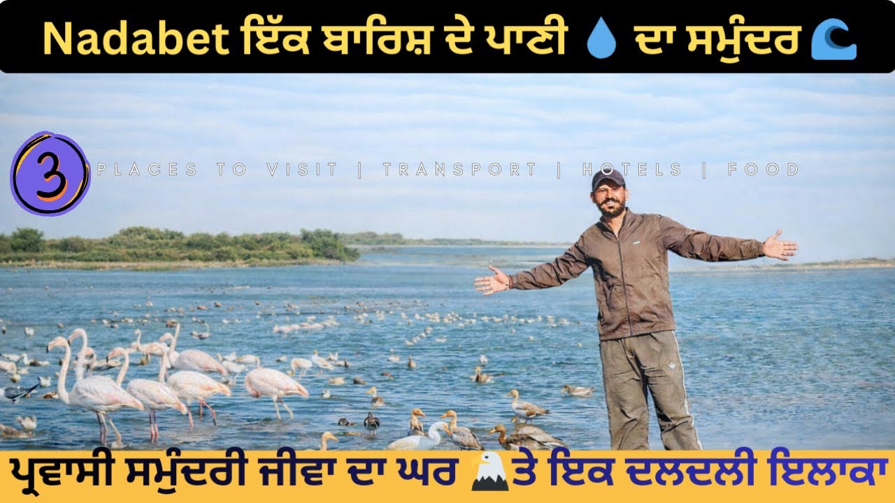 Gujarat nadabet ਵੱਲ ਦਾ ਸਫ਼ਰ ਇੱਥੇ ਬਾਰਿਸ਼ ਦੇ ਪਾਣੀ ਨਾਲ ਬਣ ਗਿਆ ਸਮੁੰਦਰ 🌊 ਤੇ ਪੈਦਾ ਹੁੰਦਾ ਹੈ ਨਮਕ 🧂 episode-3