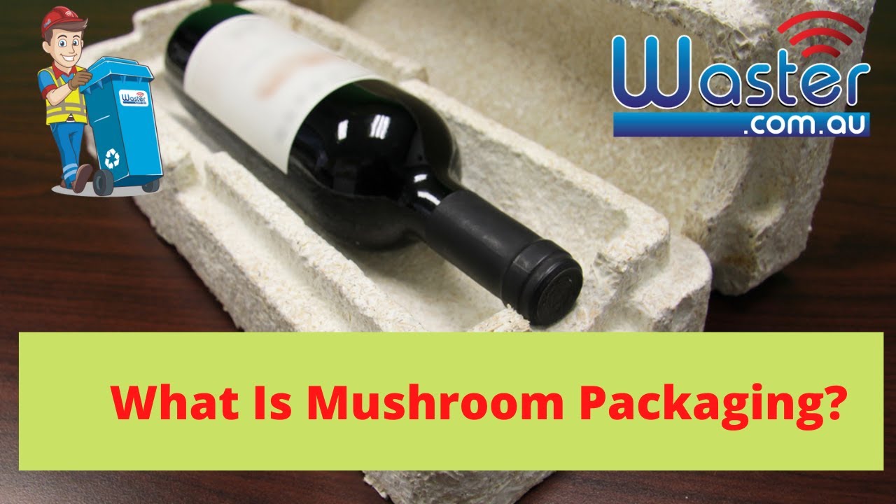 Mushroom Based Packaging Alternative For Polystyrene