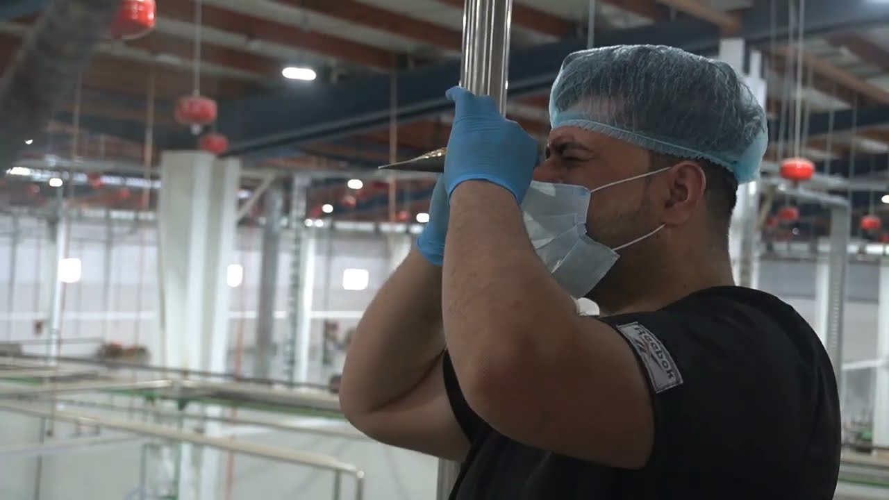معجون عراقنا الحبيب.. مصنع التكامل العربي