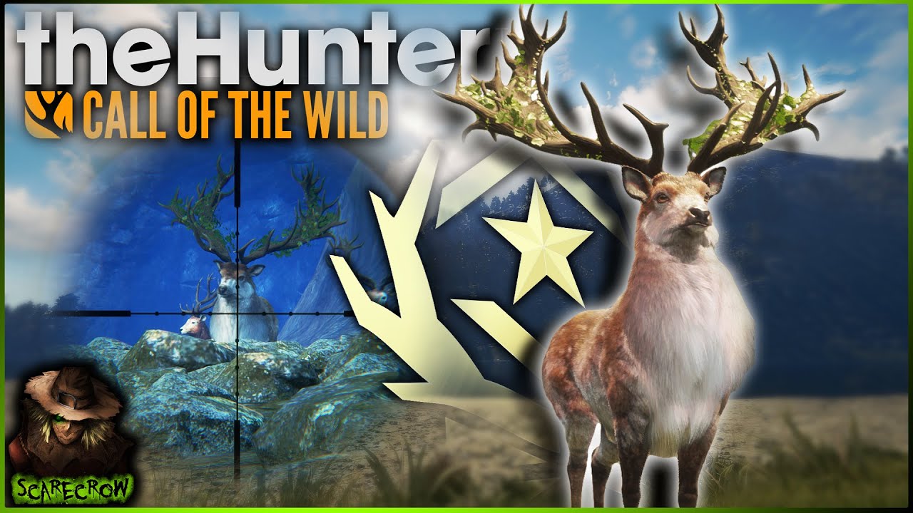 RISKY SHOT On A Great One Red Deer! Using The .243 Soft Points To End Our Grind! Call of the wild
