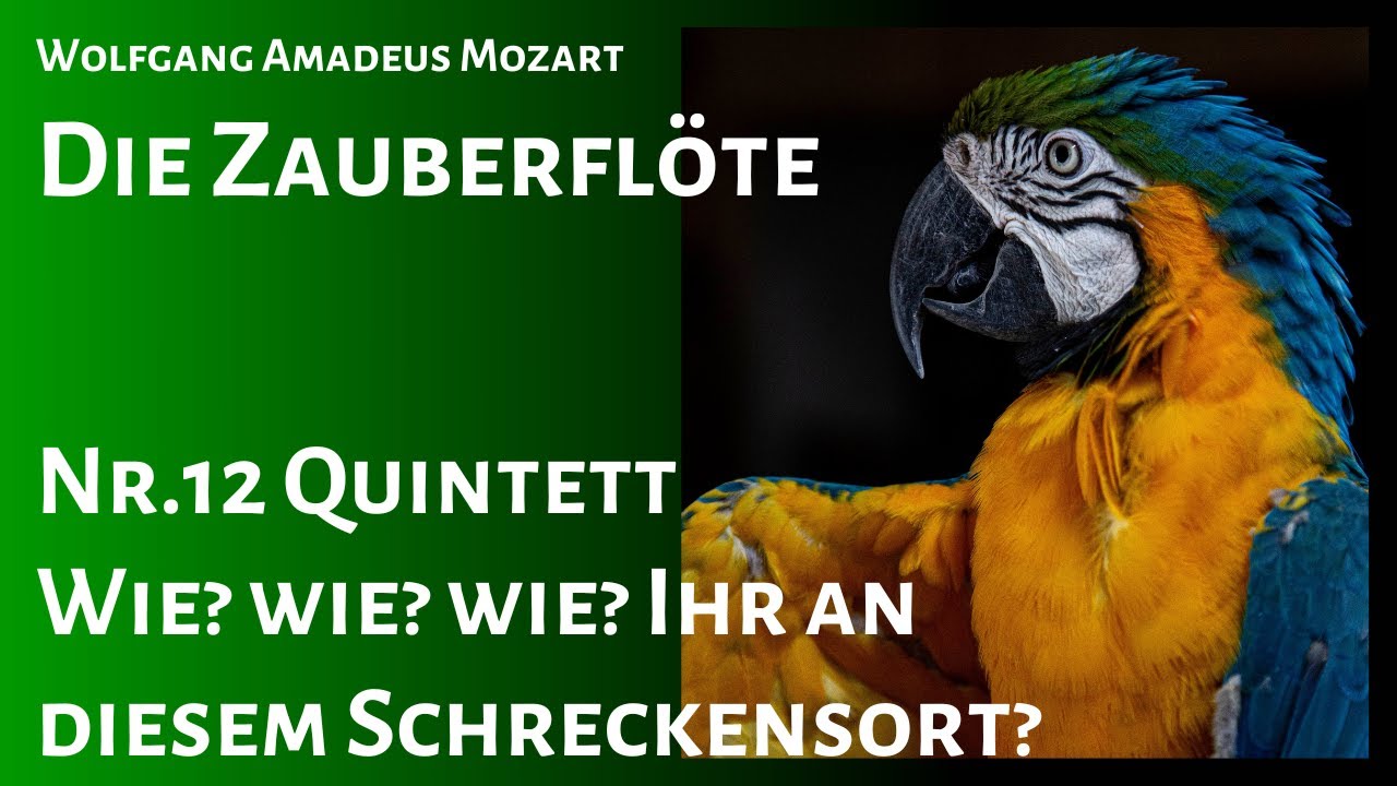 Die Zauberflöte Nr.12 Quintett 