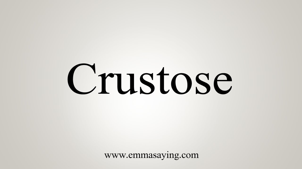 How To Say Crustose