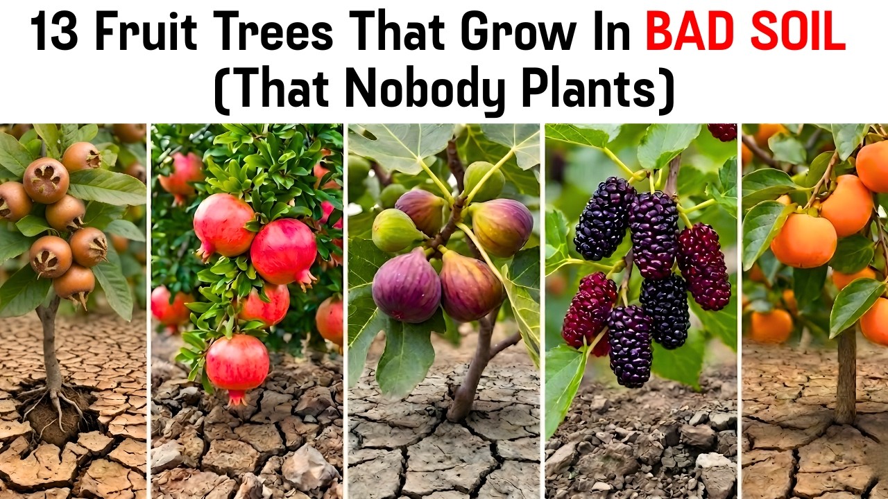 13 Fruit Trees That Grow In Bad Soil (That Nobody Plants)