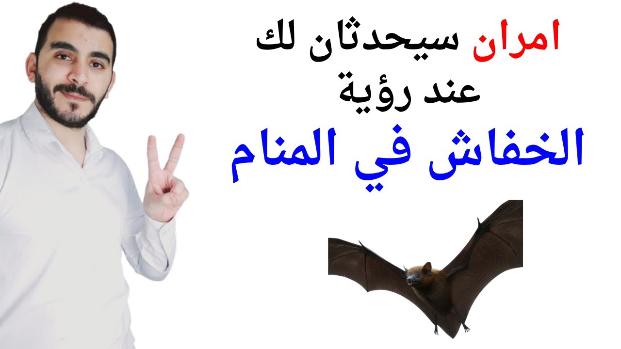 امران سيحدثان لك إذا رأيت الخفاش في المنام l تفسير حلم رؤية الخفاش في المنام بالتفصيل