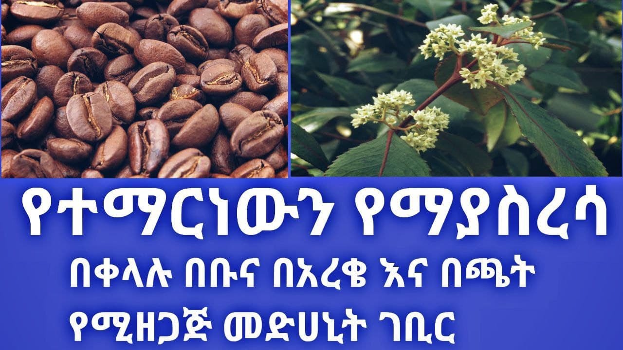 ዘኢያገድፍ የተማርነውን ትምህርት የማያስረሳ በቀላሉ  ቡና ፣ ጫት እና በአረቄ የሚዘጋጅ መድሃኒት | Increase Brain Power IQ to improve