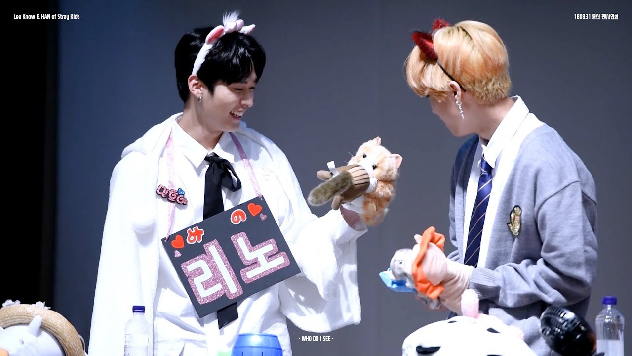 180831 스트레이 키즈 Stray Kids 용산 팬사인회 EDIT (리노 LeeKnow & 한  HAN focus)