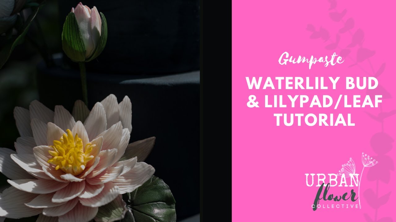 How to make a gumpaste / flower paste /sugar Waterlily leaf and bud - a step by step tutorial