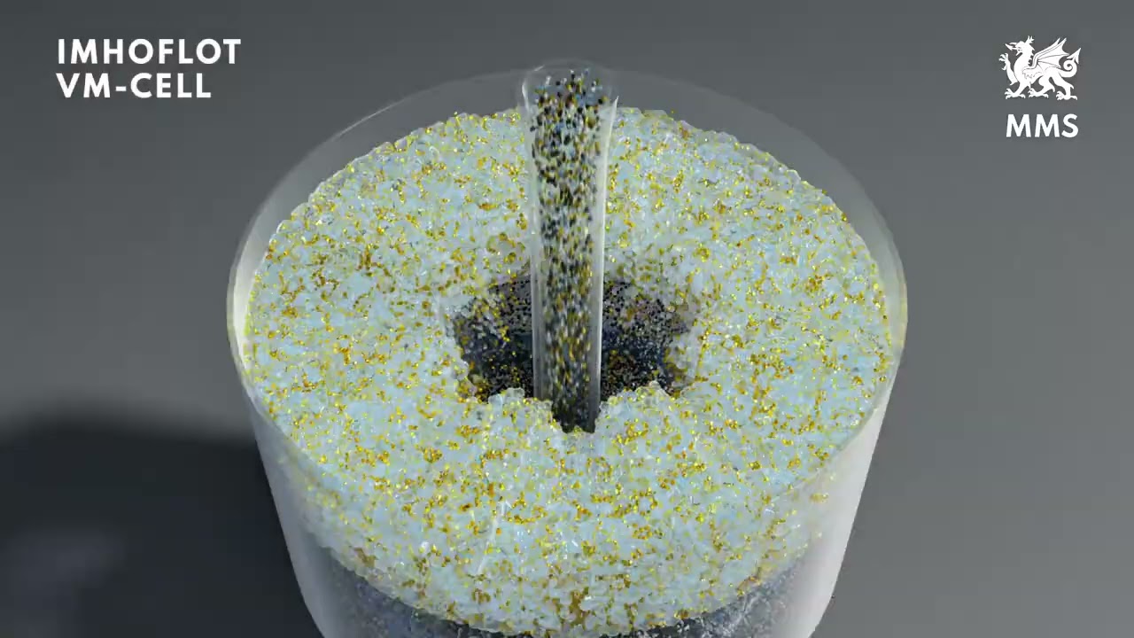 Maelgwyn - Principles behind Imhoflot Reactor Separation Flotation