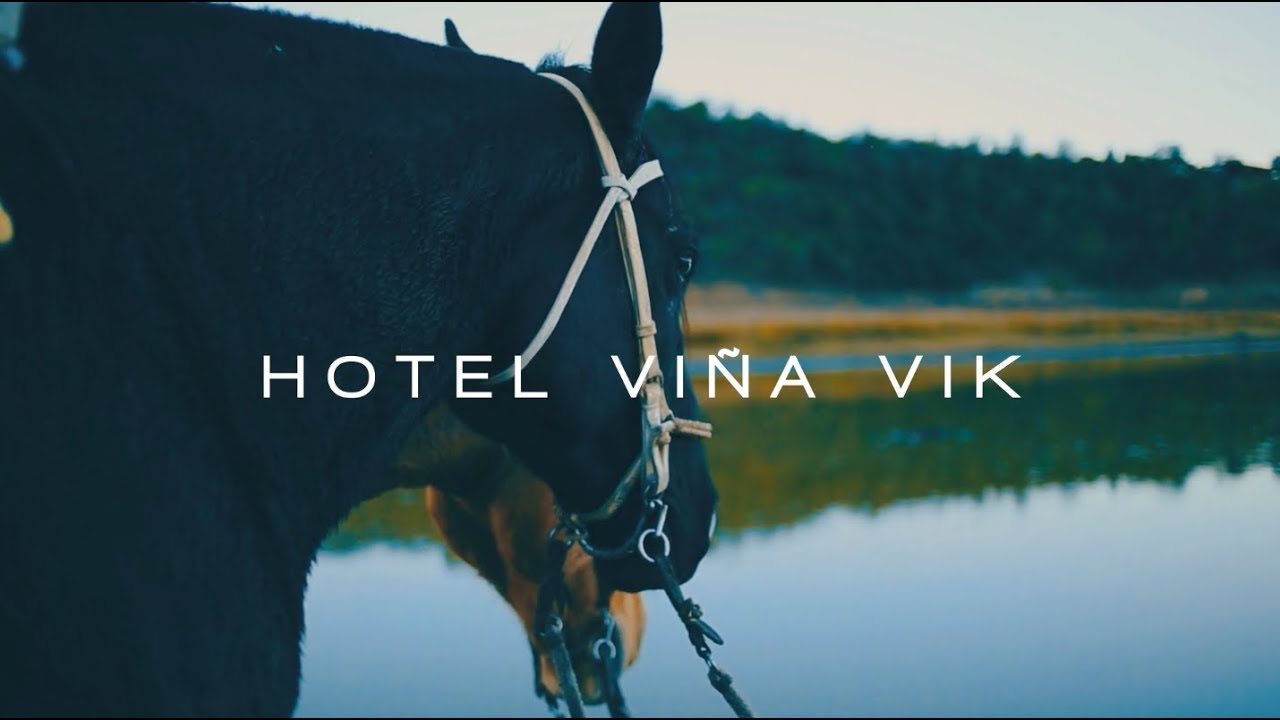 Vik Chile Hotel