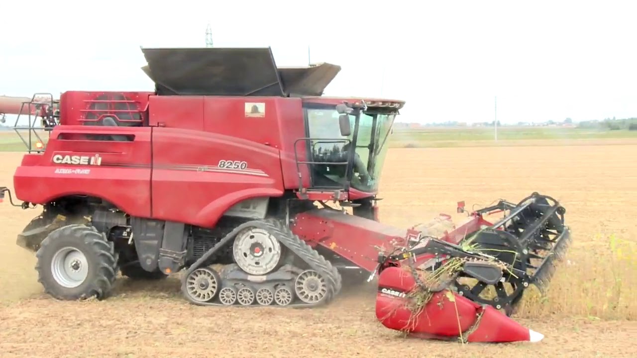 HARVESTER CASEIH NELLA CASA DELLE ASSIALI CON LA NUOVA AXIAL FLOW 8250 CON BARRA A TAPPETO X SOIA
