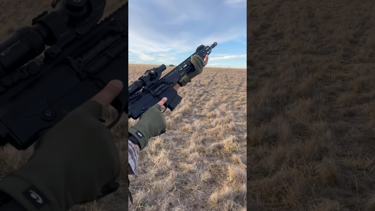 AR10 Pump Action - Communist Compliant 😅🎯 #pumpaction #ar10 #308 #dmr #cod #vortex