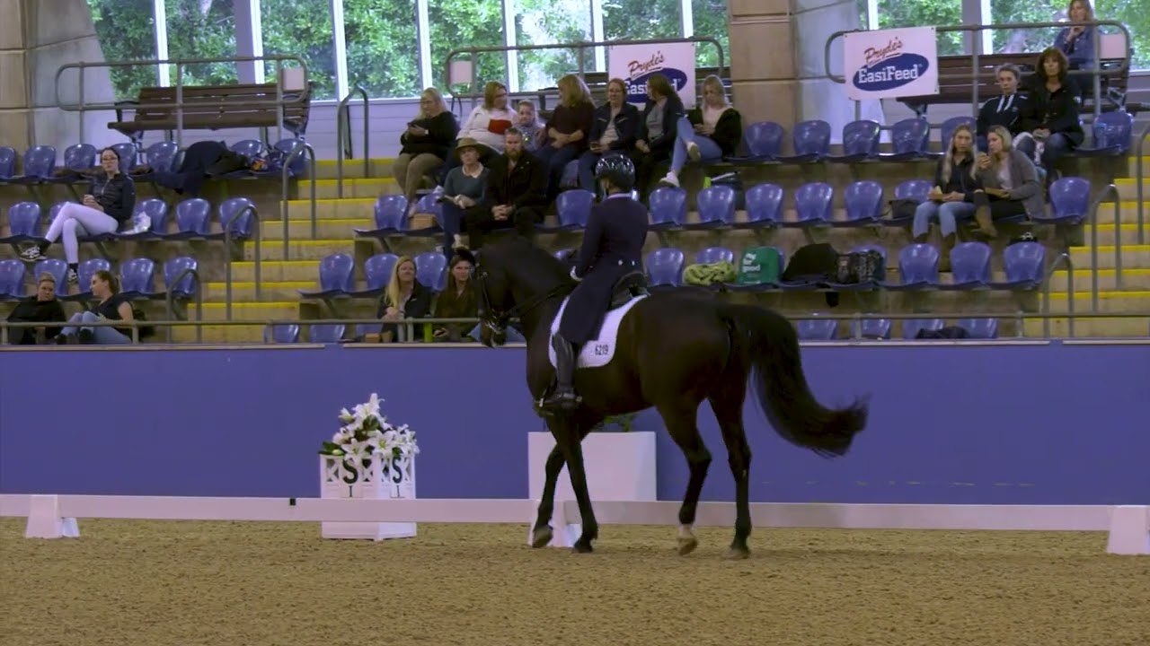Helen Macaskill and F1 Sonny Bill 3rd in the FEI Intermediate A/B Freestyle at the Sydney CDLite