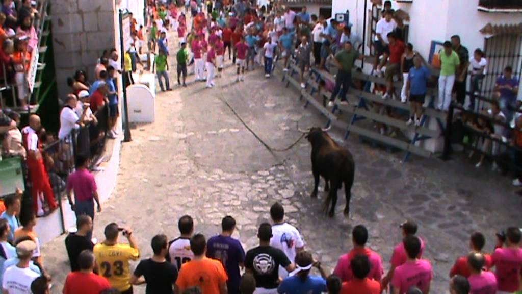 GRAZALEMA TORO CONGRESO 3 COGIDA.MPG