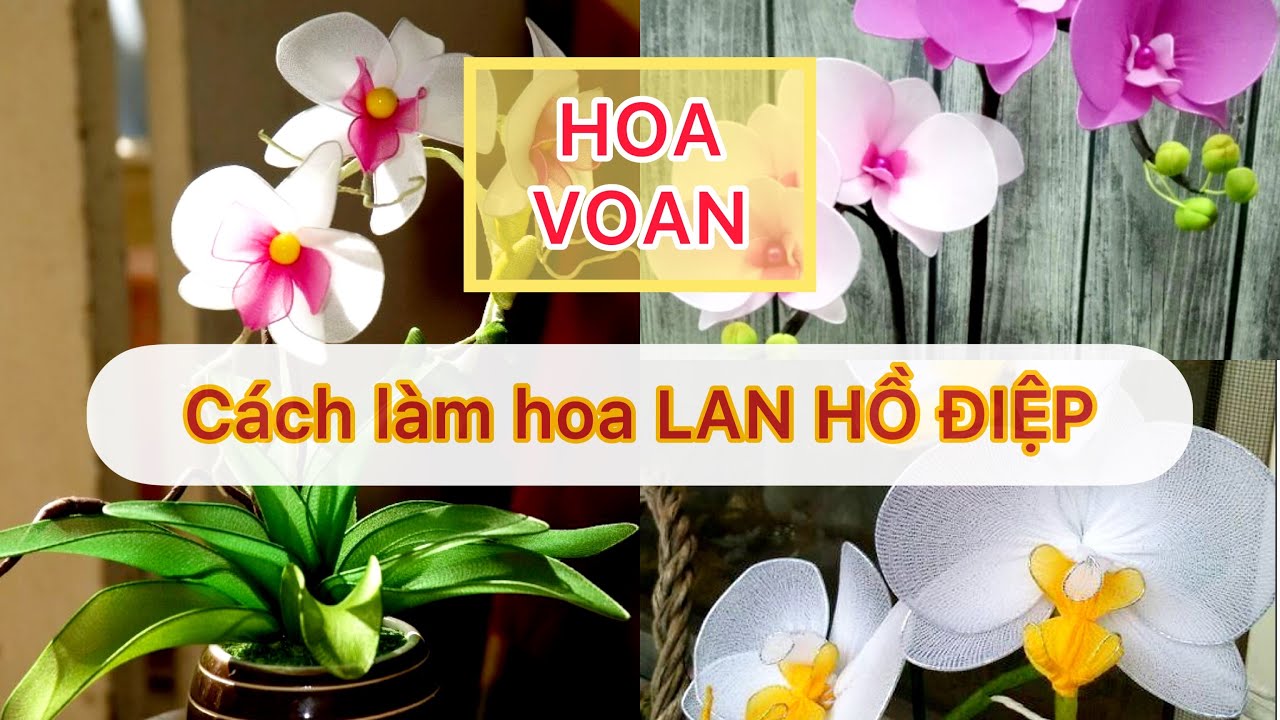 #38 CÁCH LÀM HOA LAN HỒ ĐIỆP BẰNG VẢI VOAN | How to make Phalaenopsis from nylon stocking flowers