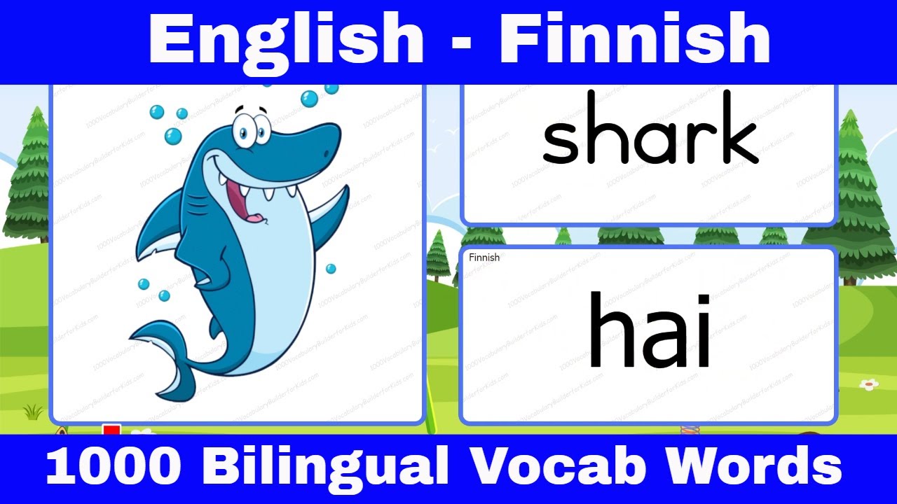 📌Learn English Finnish Vocabulary with Pictures for Beginners : Opi englannin suomen sanastoa