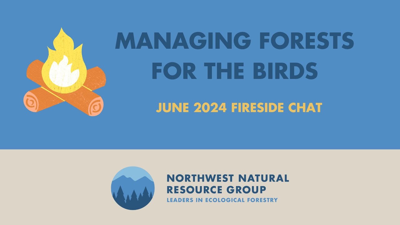 June 2024 Fireside Chat