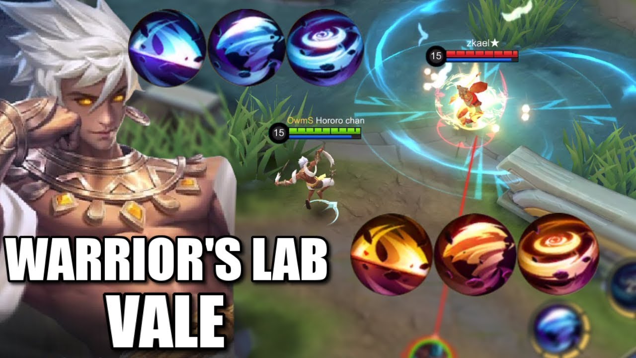 WARRIOR'S LAB VALE AFTER 7-8 MONTHS