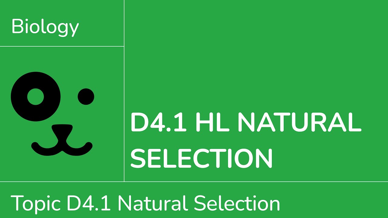 D4.1 HL Natural Selection [IB Biology HL]