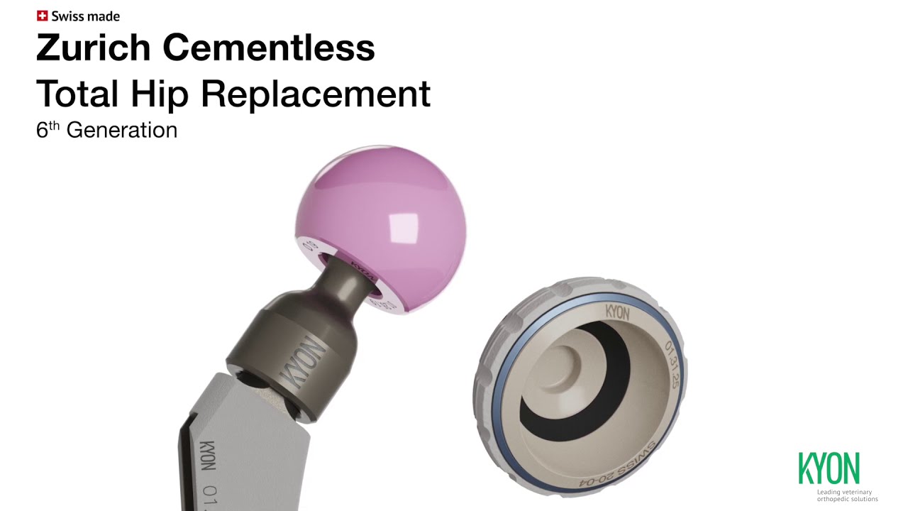 KYON - Total Hip Replacement - Zurich Cementless 6th Generation