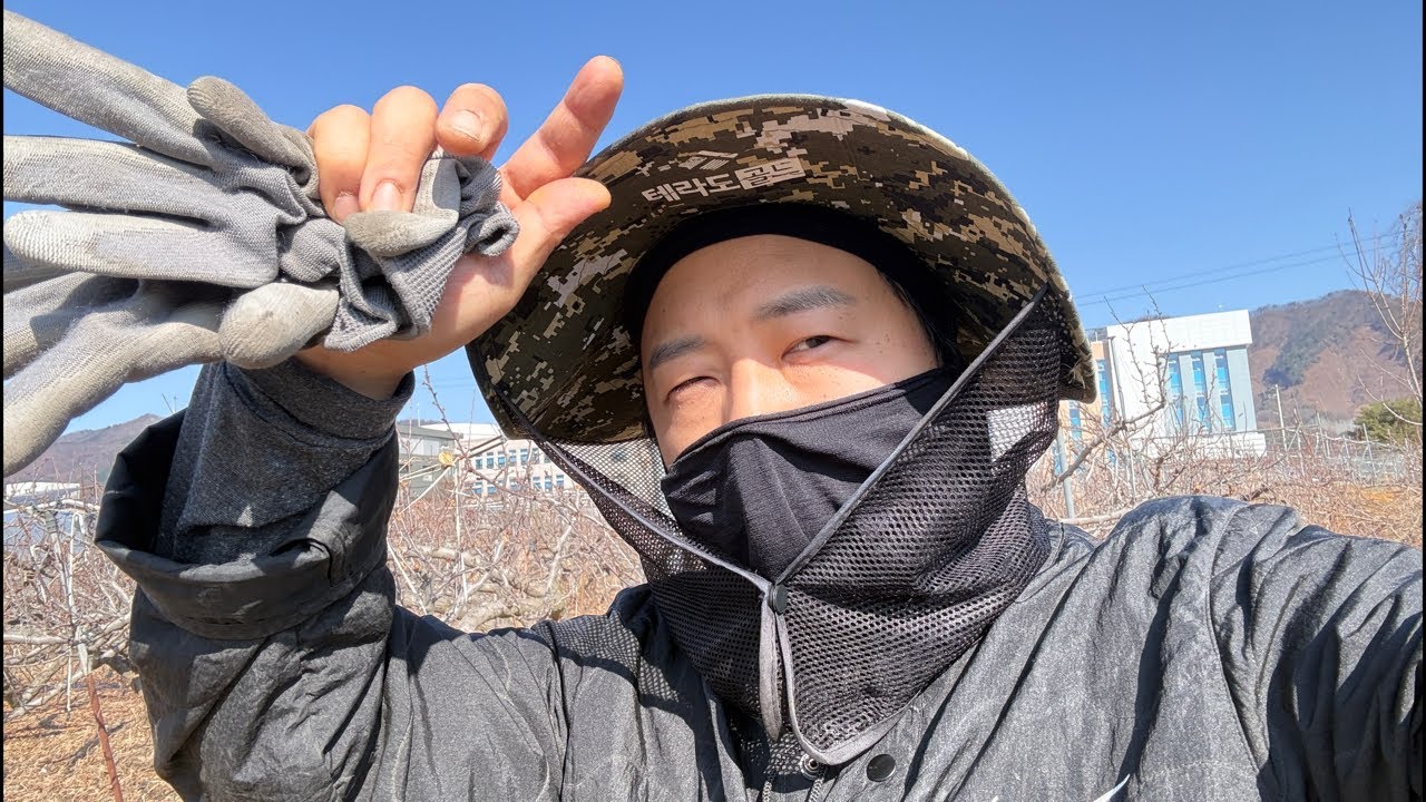 햇살 좋은 오전의 명상고양이🌞Meditation cat on a sunny morning