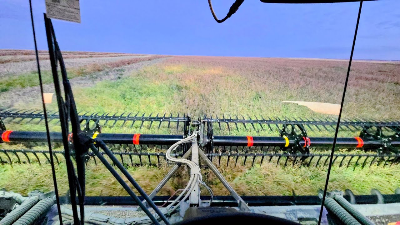Swathing the south farm! 