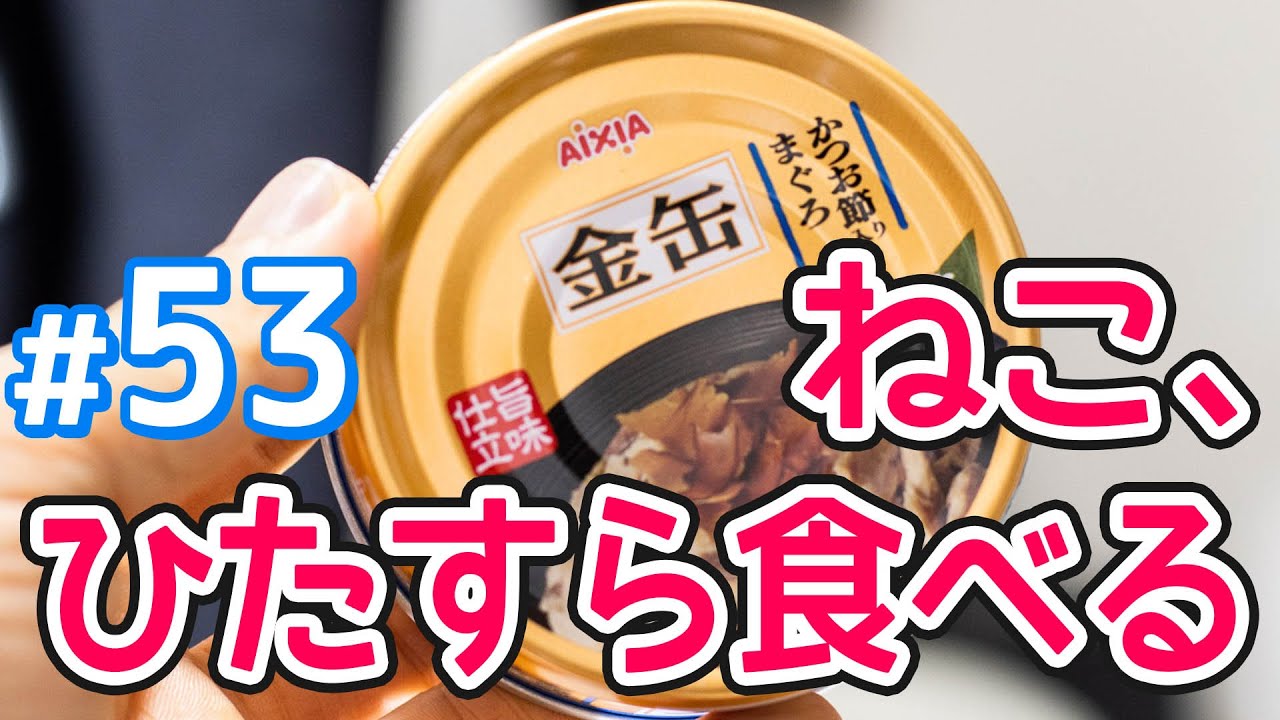アイシア 金缶かつお節入りまぐろの徹底レビュー！