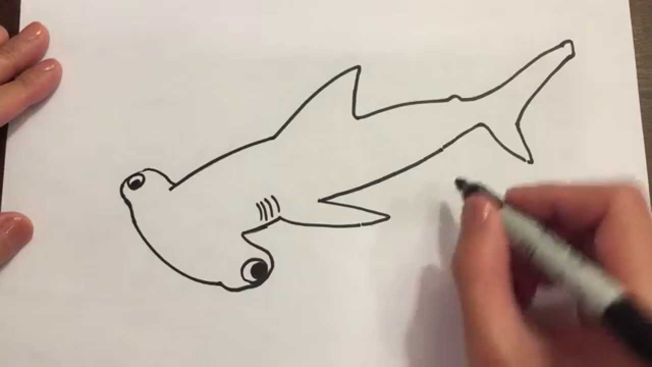 Draw A Hammerhead Shark